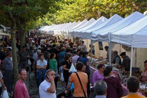 XI CONCURSO DE QUESO IDIAZABAL DE HONDARRIBIA