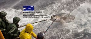 EL VALOR DE LA PESCA ARTESANAL, FOTOGRAFÍAS EN HONDARRIBIA